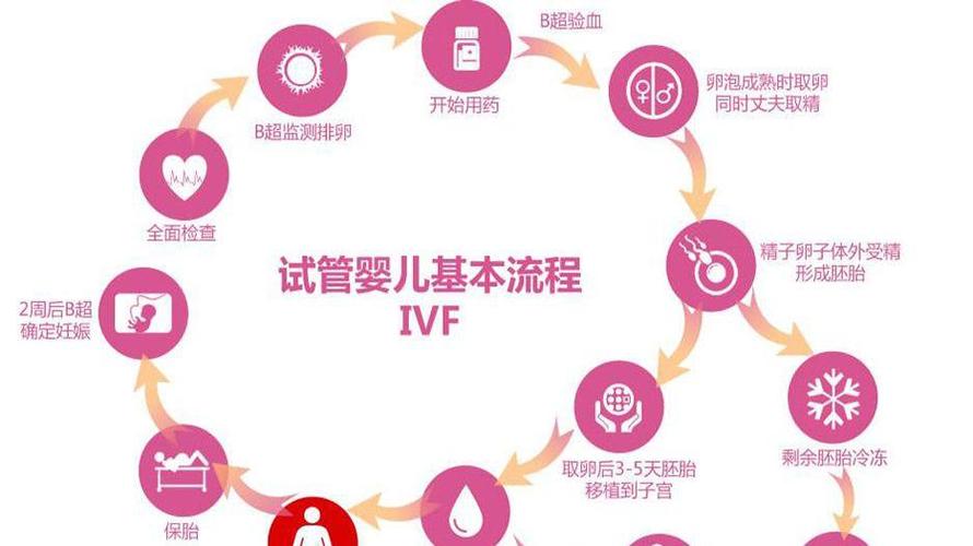 广州正规三代供卵试管公司(广州正规三代供卵试管公司：专业辅助生殖服务)