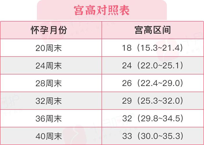 供卵试管代怀包成功费用【供卵试管代怀包成功费用分析及比较】